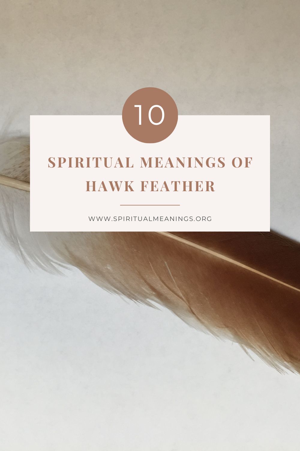 10 Spiritual Meanings of Hawk Feather