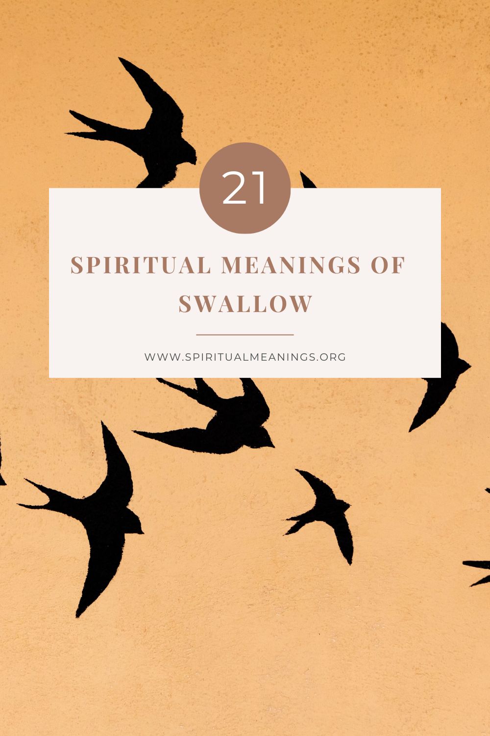 21 Spiritual Meanings of Swallow