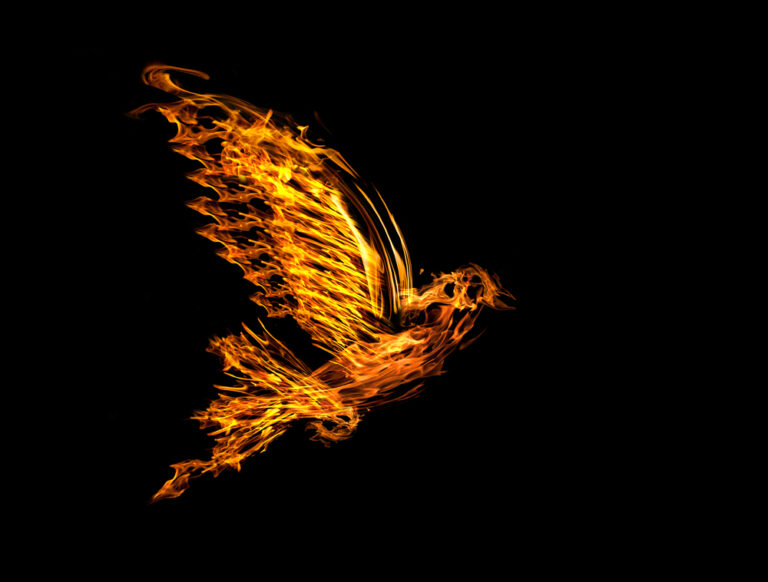 6 Spiritual Meanings Of a Dove On Fire