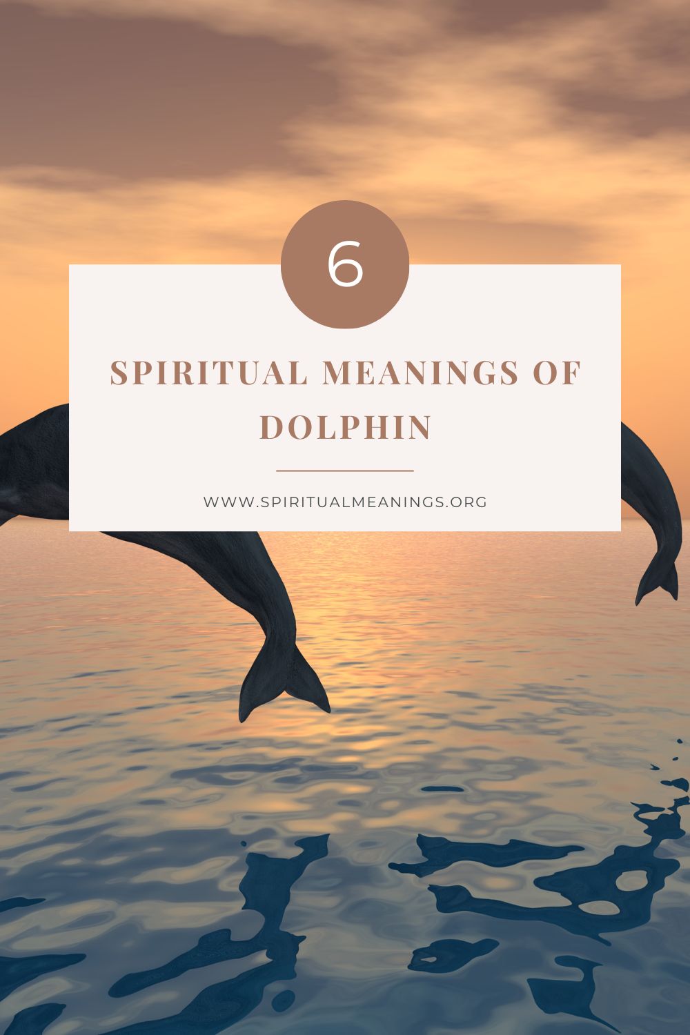 6 Spiritual Meanings of Dolphin