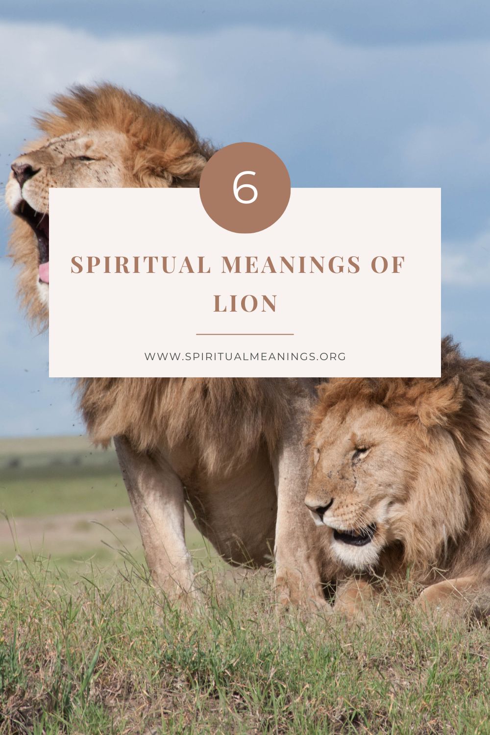6 Spiritual Meanings of Lion