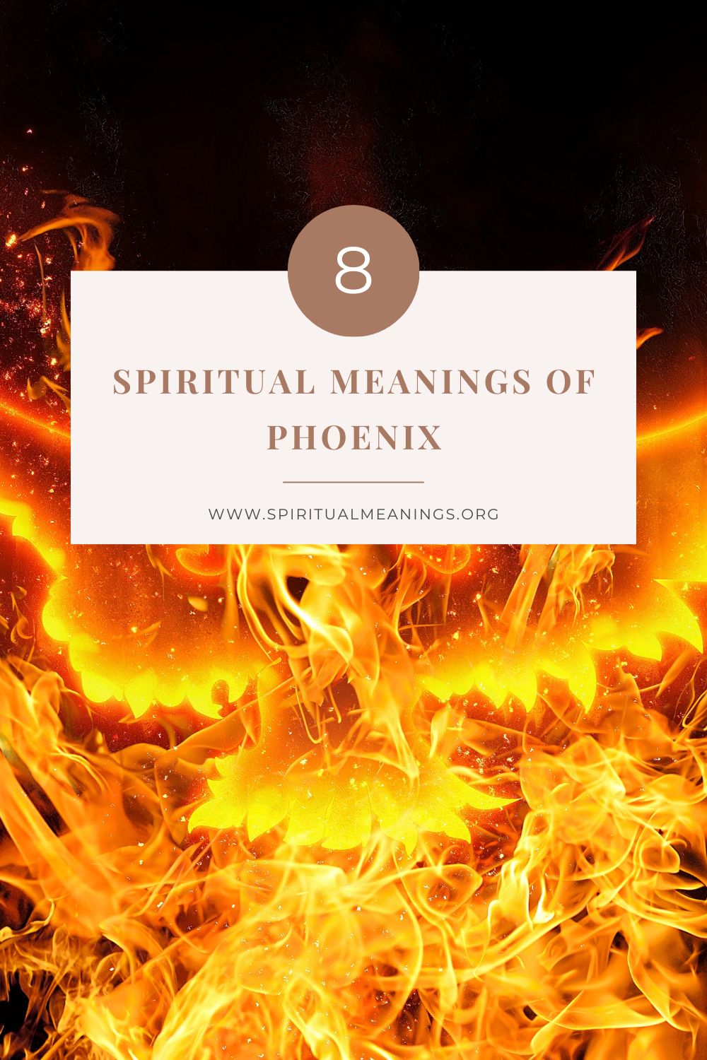 8 Spiritual Meanings of a Phoenix