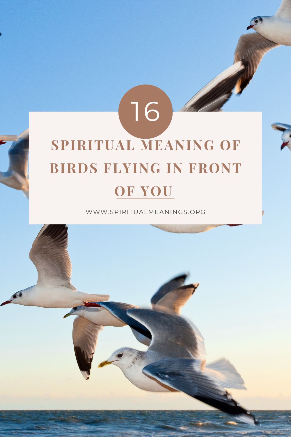 Many ways to interpret birds flying in front of you
