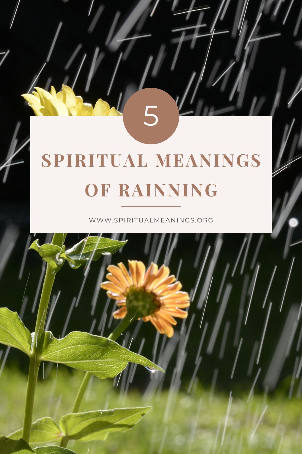 Rain Spiritual Meanings