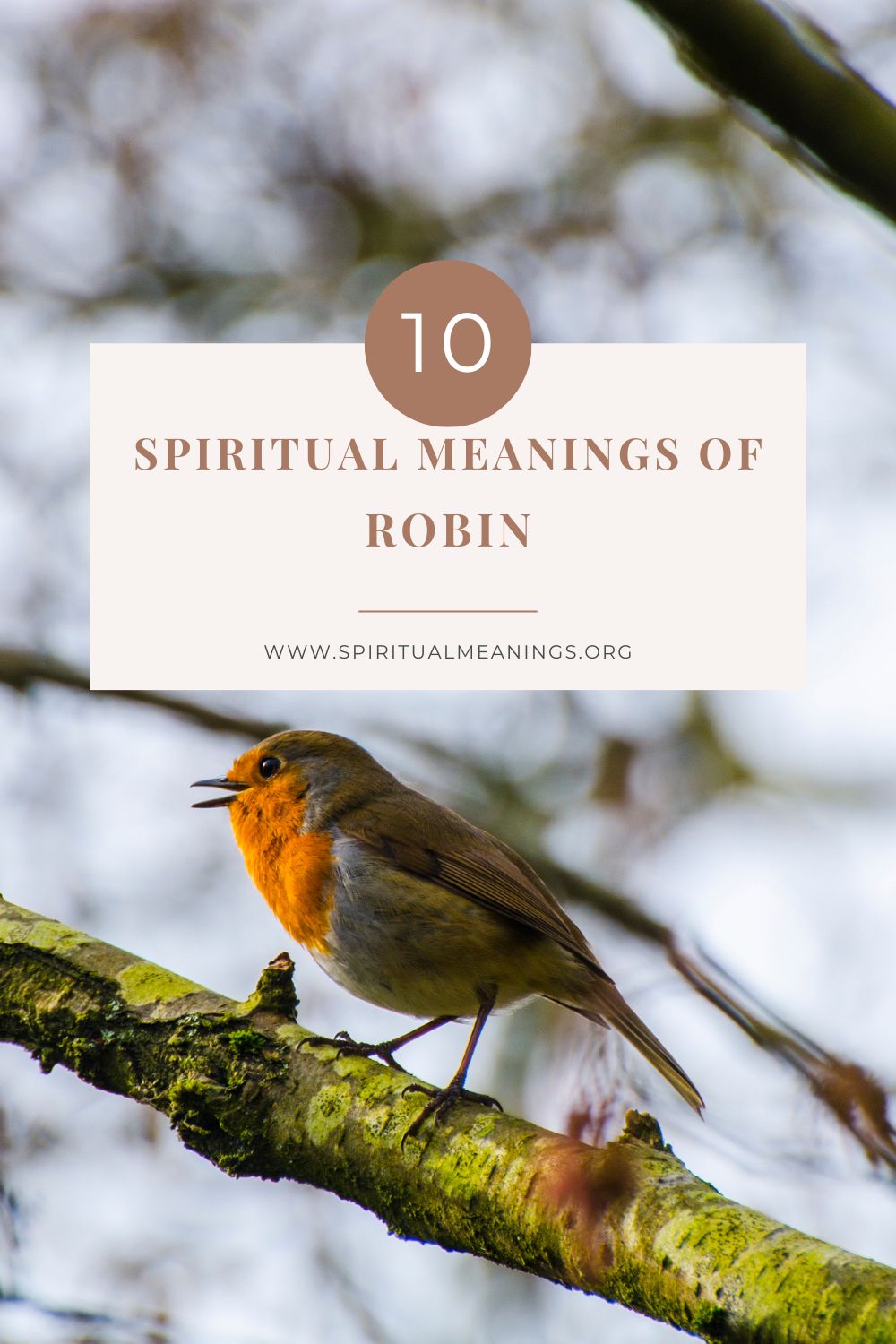 Robin Symbolism
