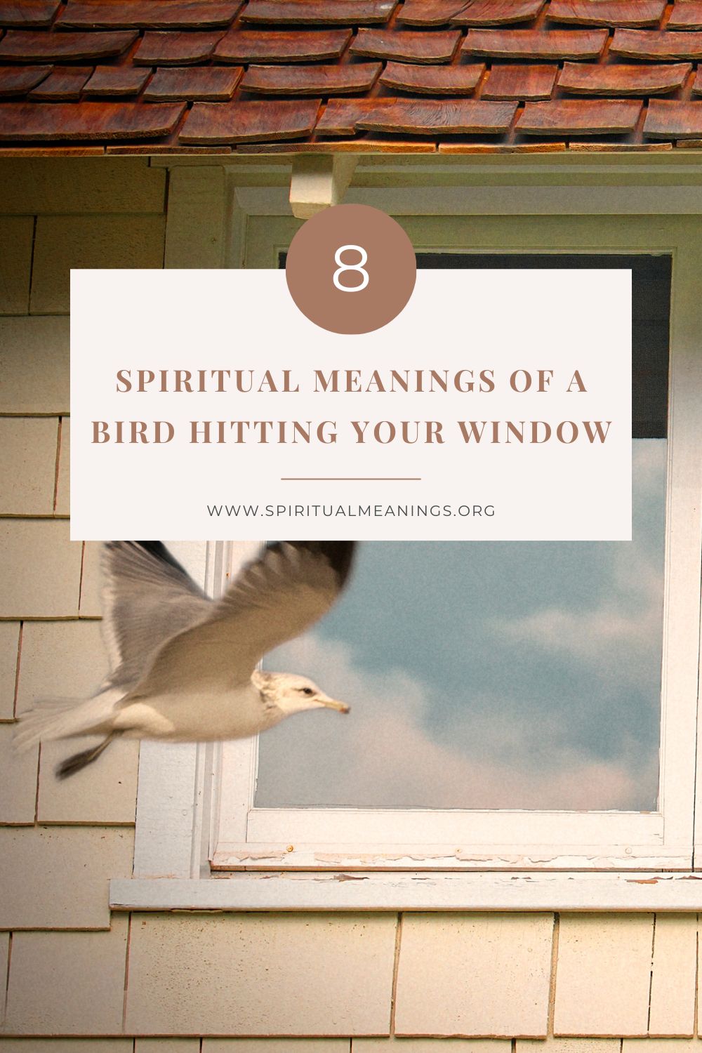 Several conflicting ways to interpret a bird hitting a window