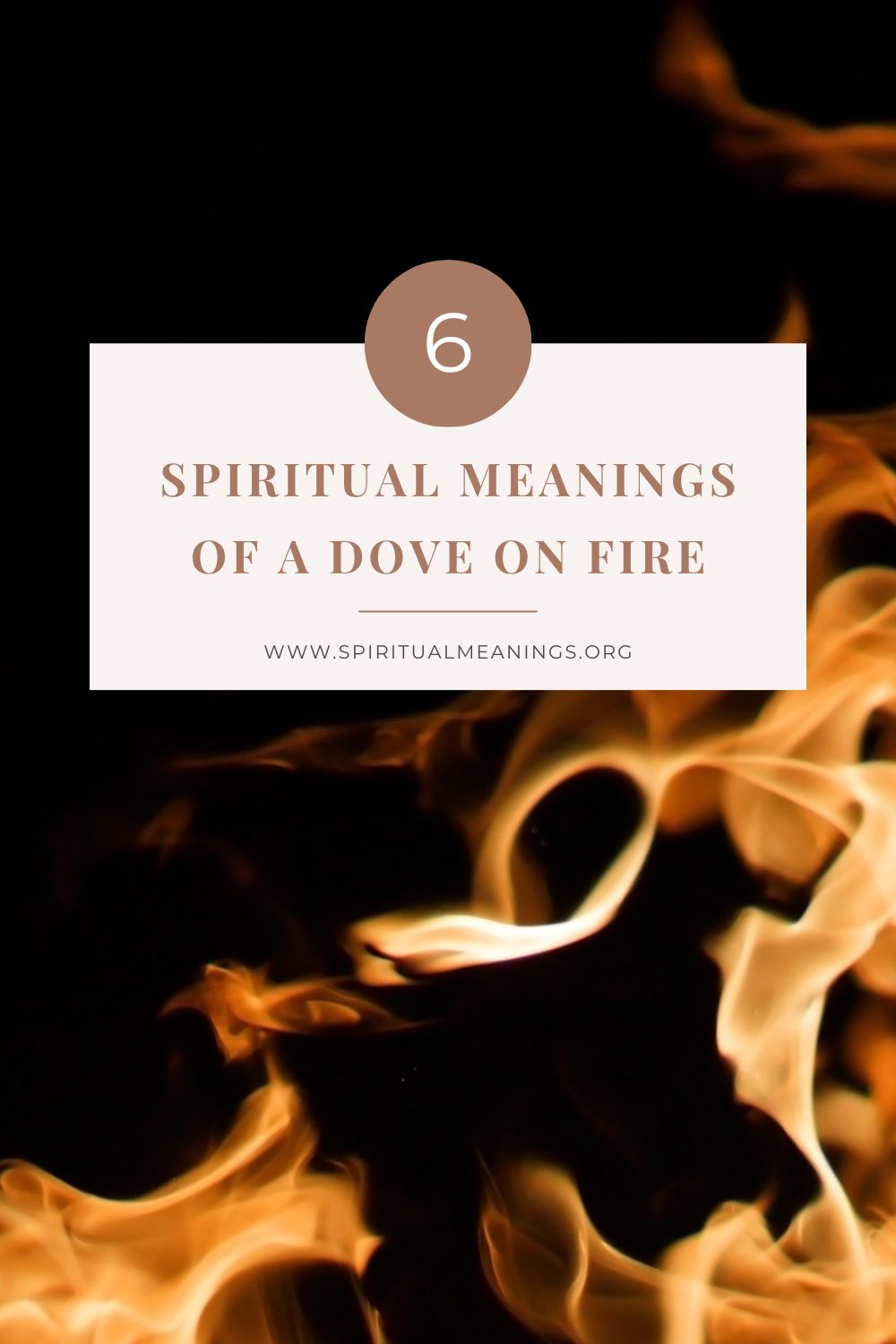 Spiritual Meanings Of A Dove On Fire