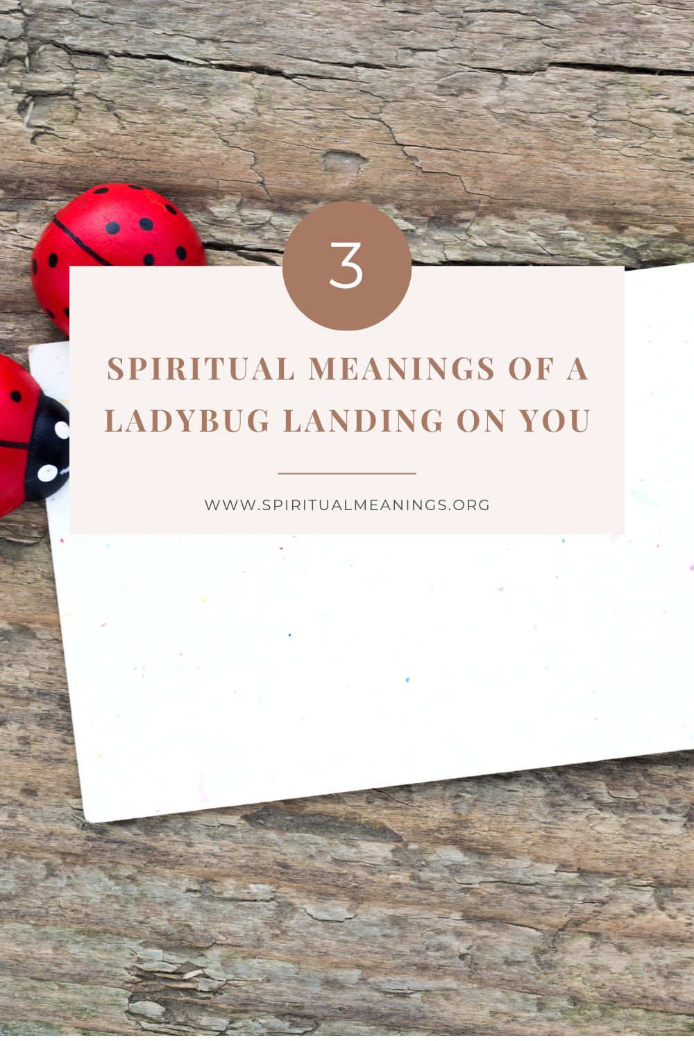 3 Spiritual Meanings of A Ladybug Landing on You