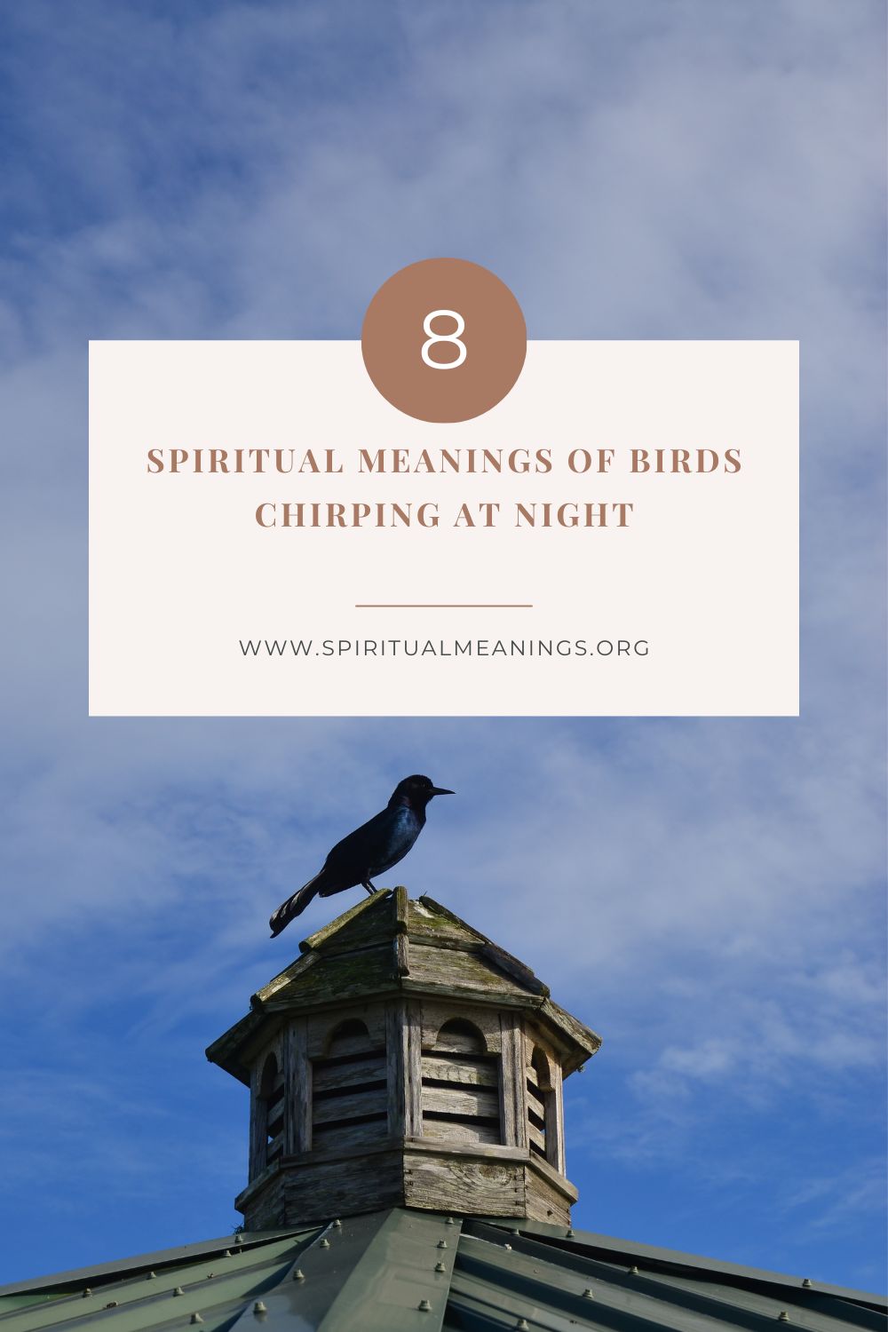 Spiritual Meanings of Birds Chirping At Night