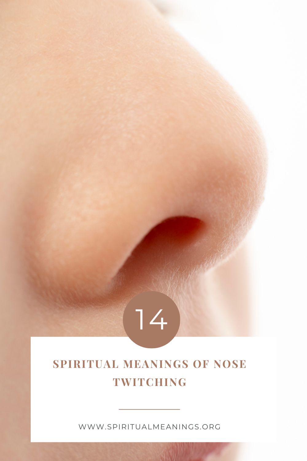 Spiritual Meanings of Nose Twitching