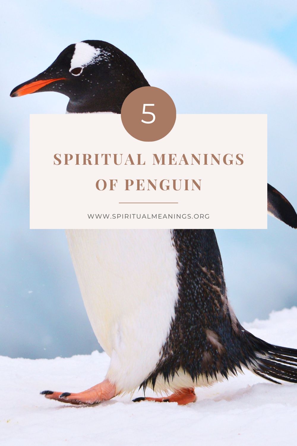 Spiritual Meanings of Penguin