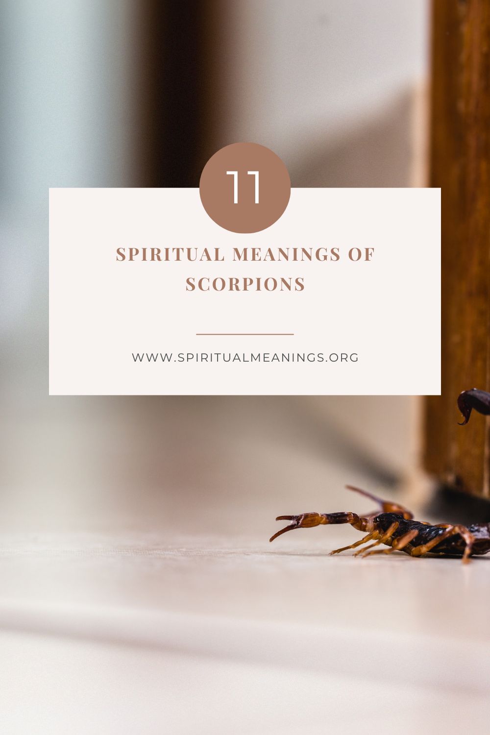 Spiritual Meanings of Scorpions