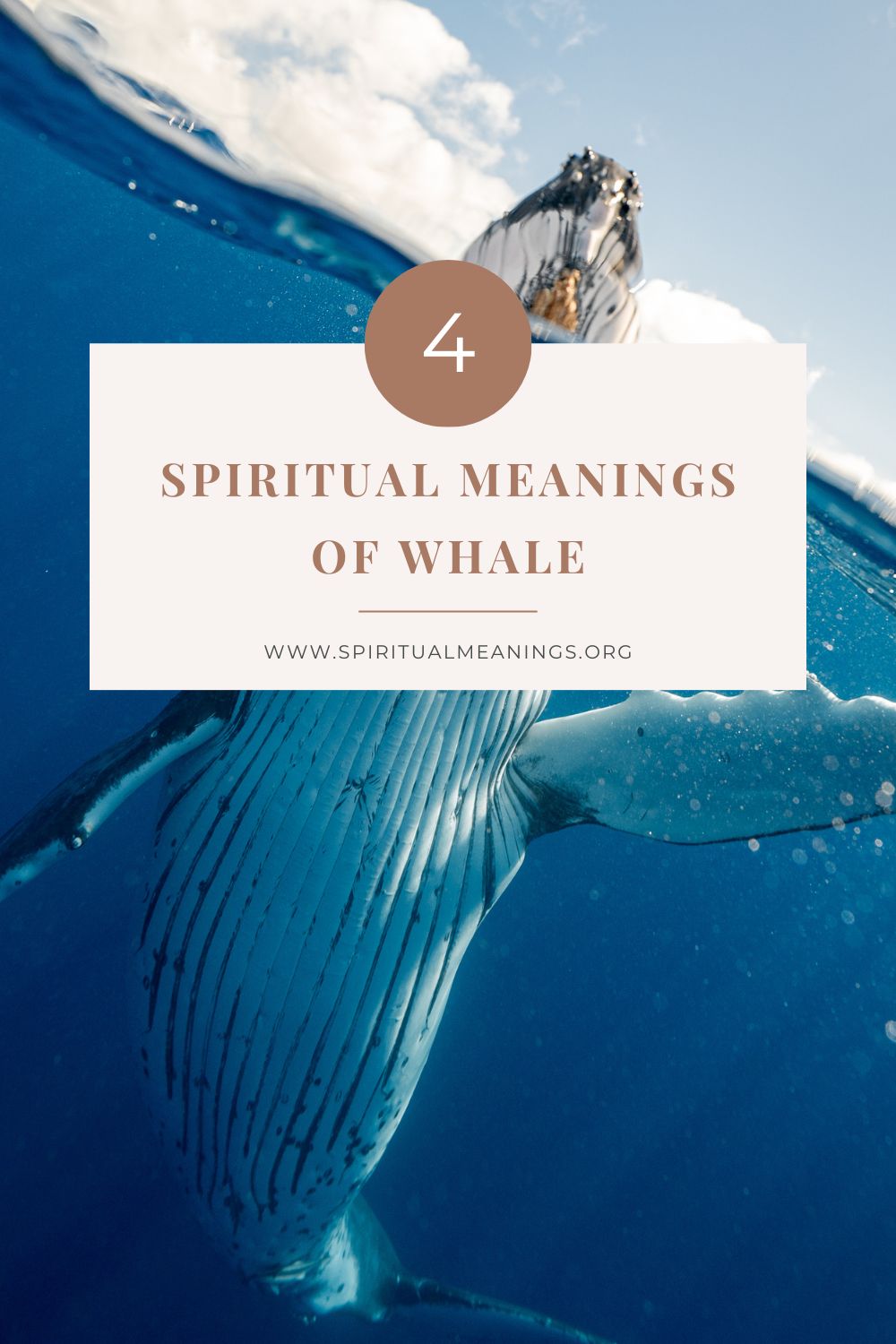 Spiritual Meanings of Whale