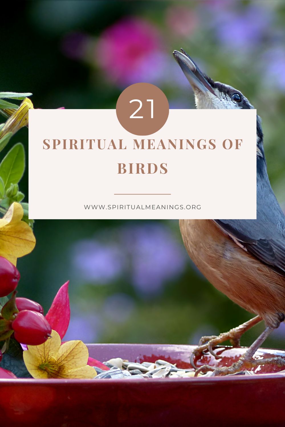 Spiritual meanings of birds