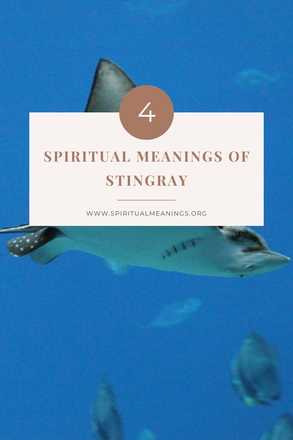 Stingray as a Power Animal