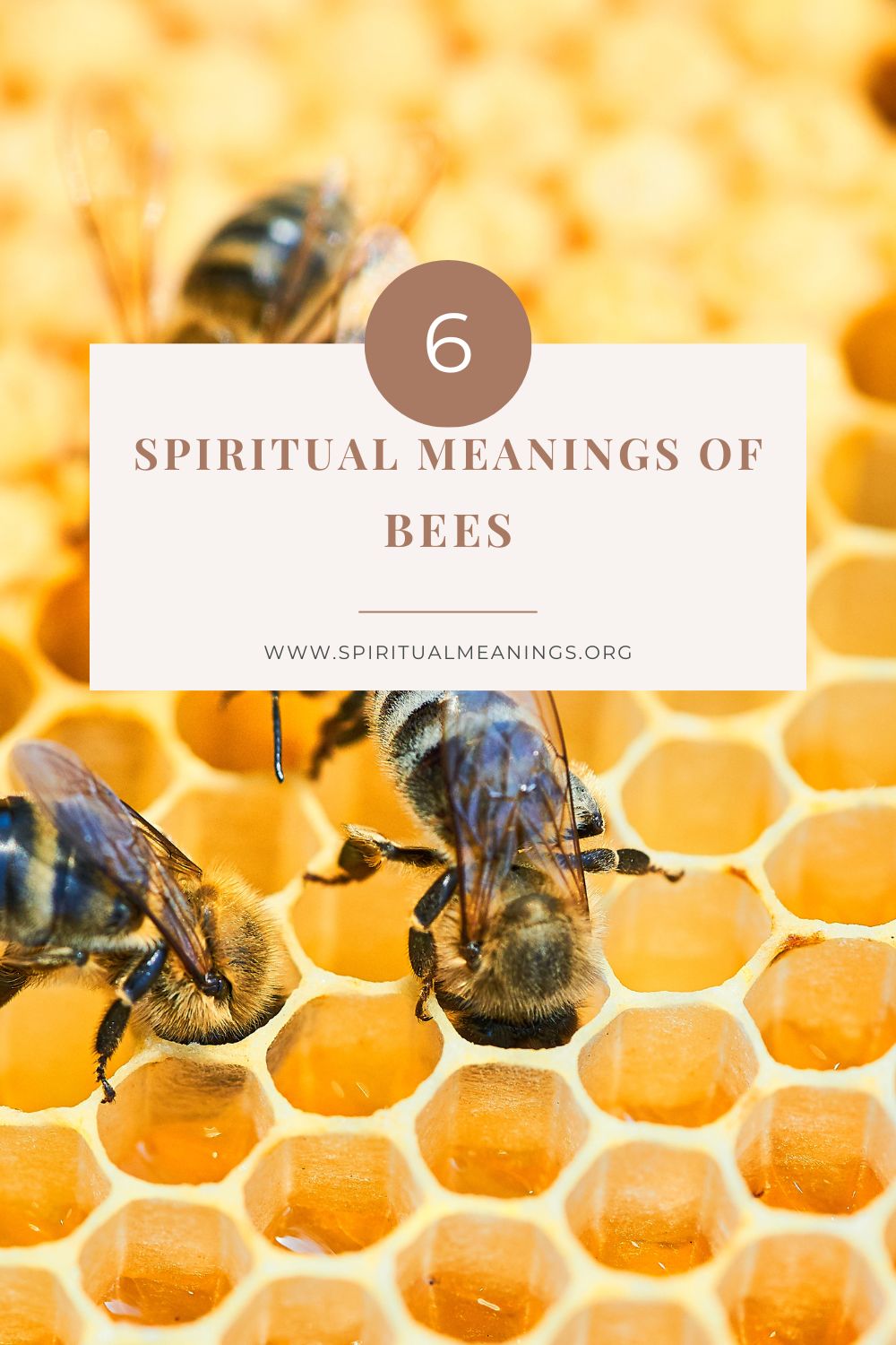 The Symbolism of Bees in the Ancient World