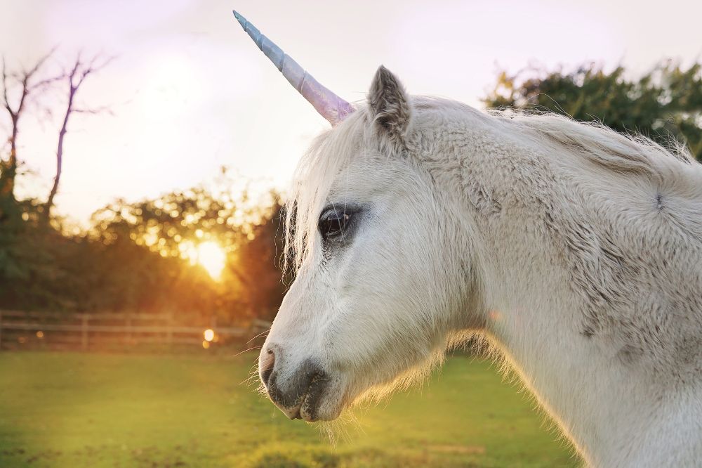 The Unicorn’s Horn (Spiritual Meanings)