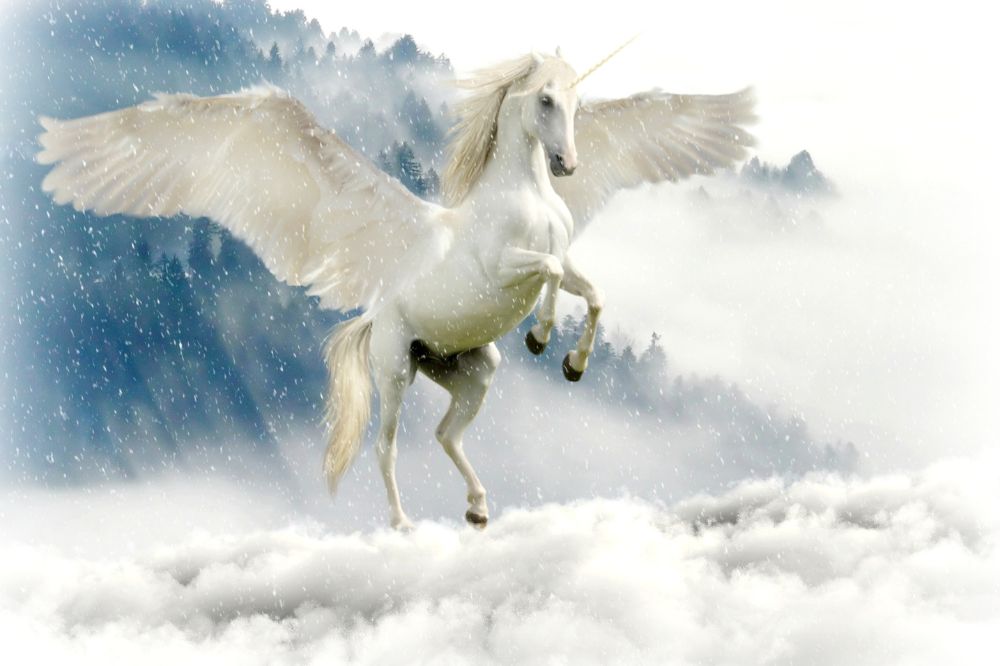 Unicorns as Spirit Animals (Spiritual Meanings)