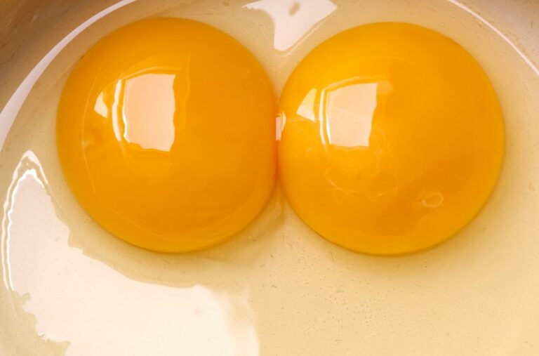 11 Spiritual Meanings of Double-Yolk Egg