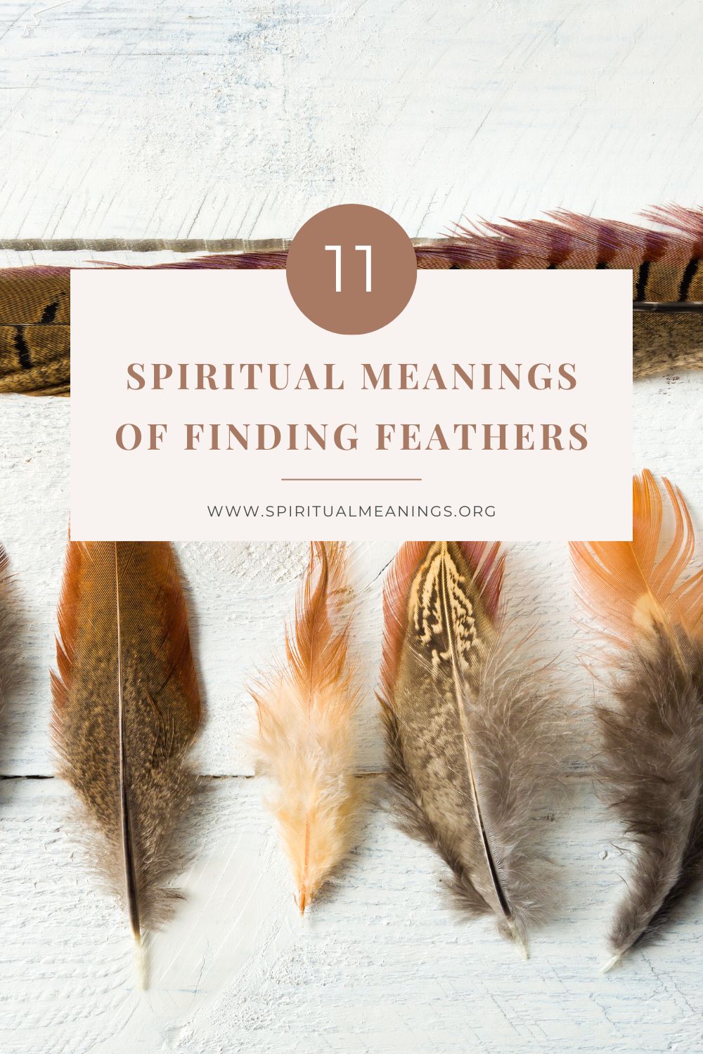 11 Spiritual Meanings of Finding Feathers pin