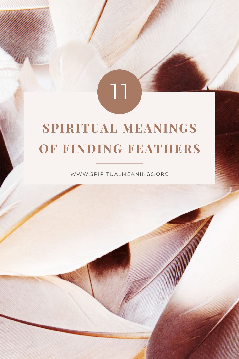 11 Spiritual Meanings of Finding Feathers pin