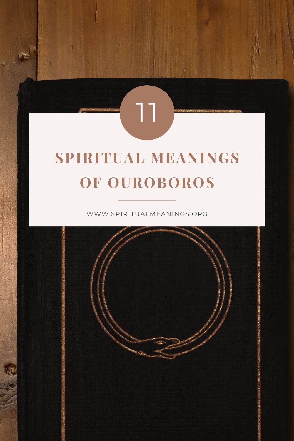 11 Spiritual Meanings of Ouroboros pin