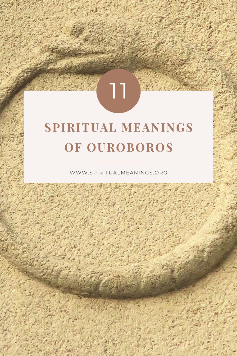 11 Spiritual Meanings of Ouroboros pin