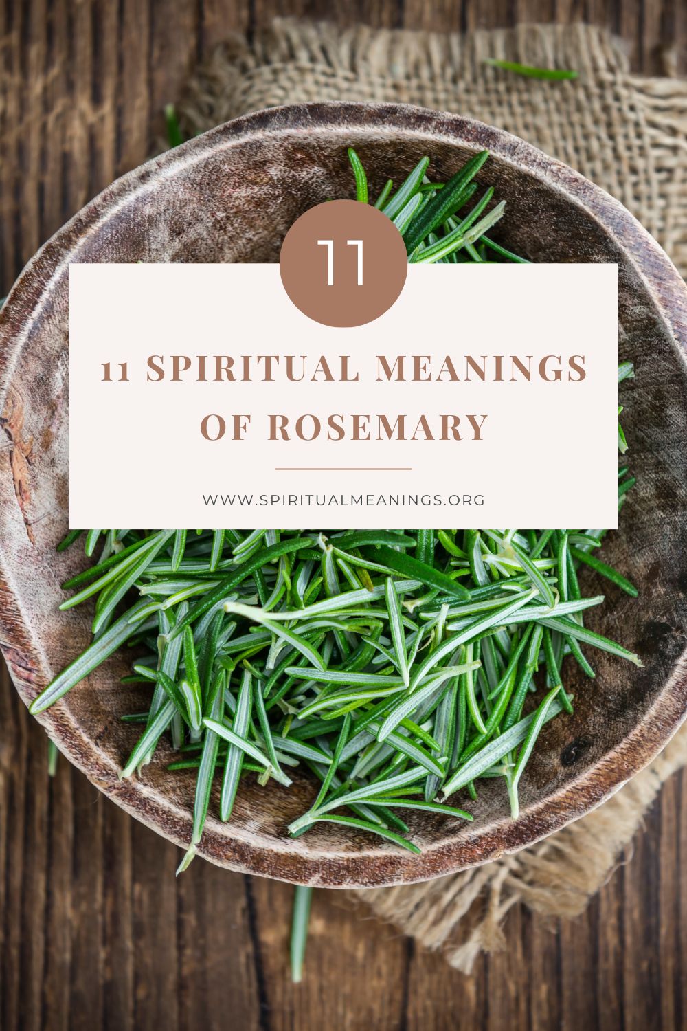 11 Spiritual Meanings of Rosemary pin 2