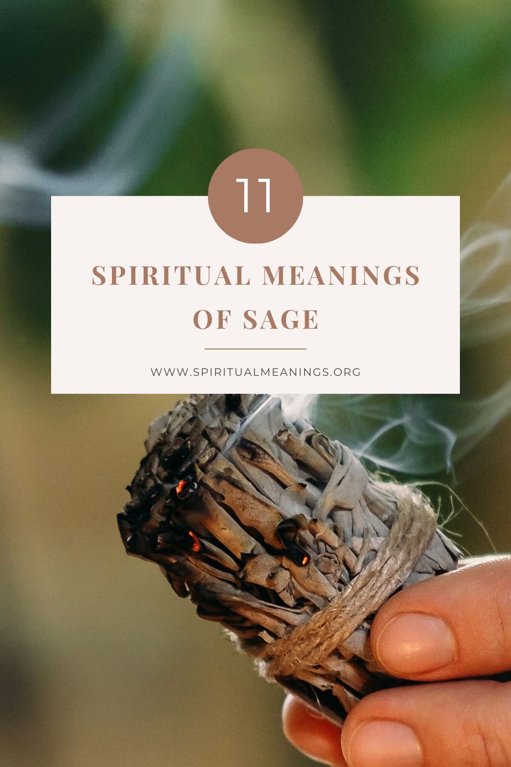 11 Spiritual Meanings of Sage pin