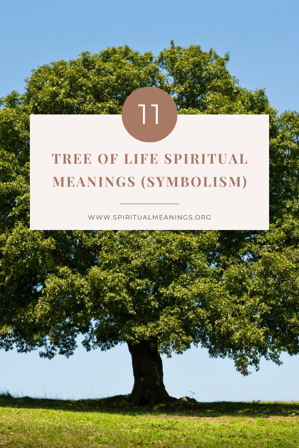 11 Tree of Life Spiritual Meanings (Symbolism) pin 2