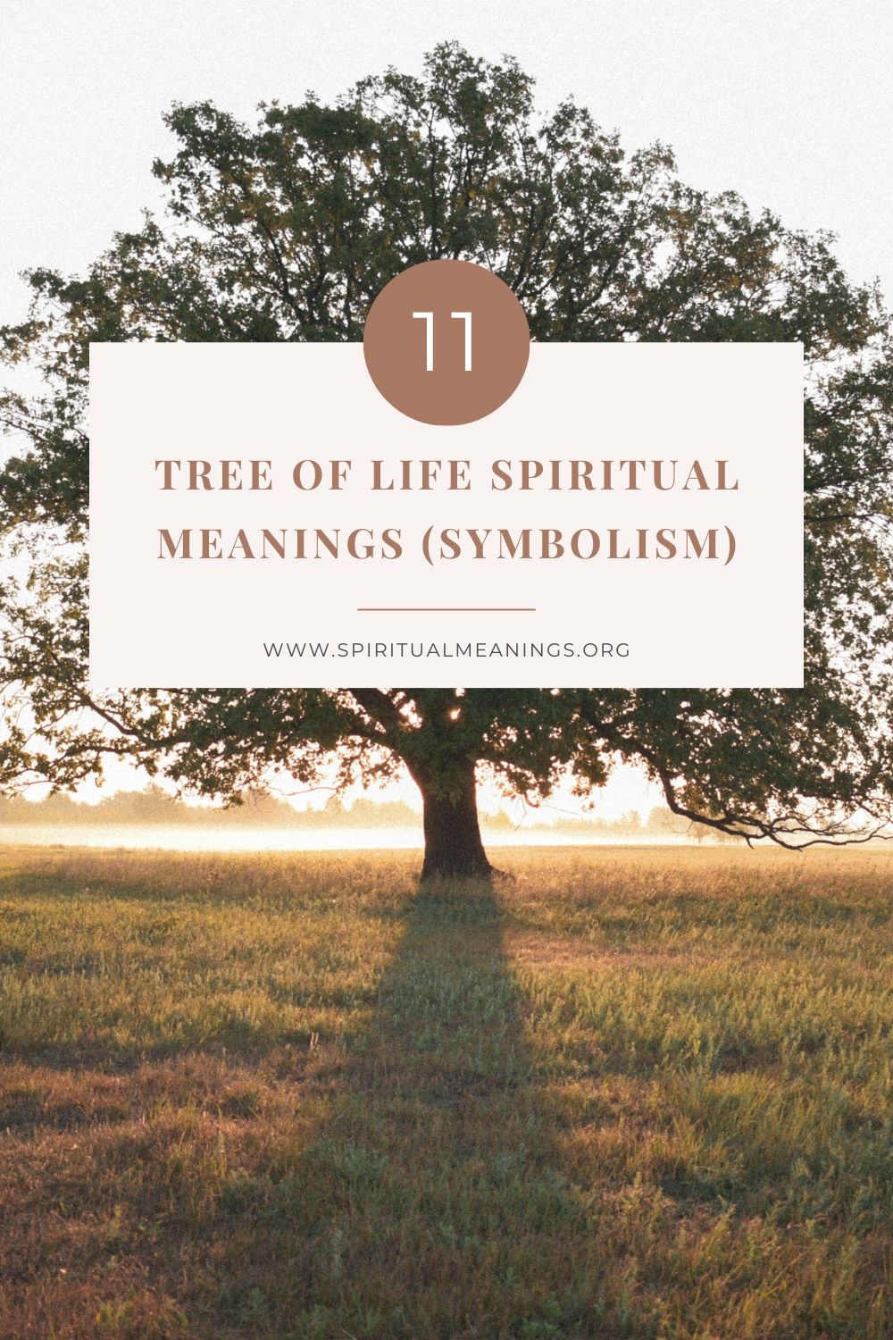 11 Tree of Life Spiritual Meanings (Symbolism) pin