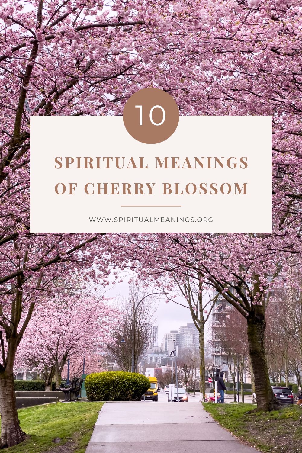 10 Spiritual Meanings of Cherry Blossom pin