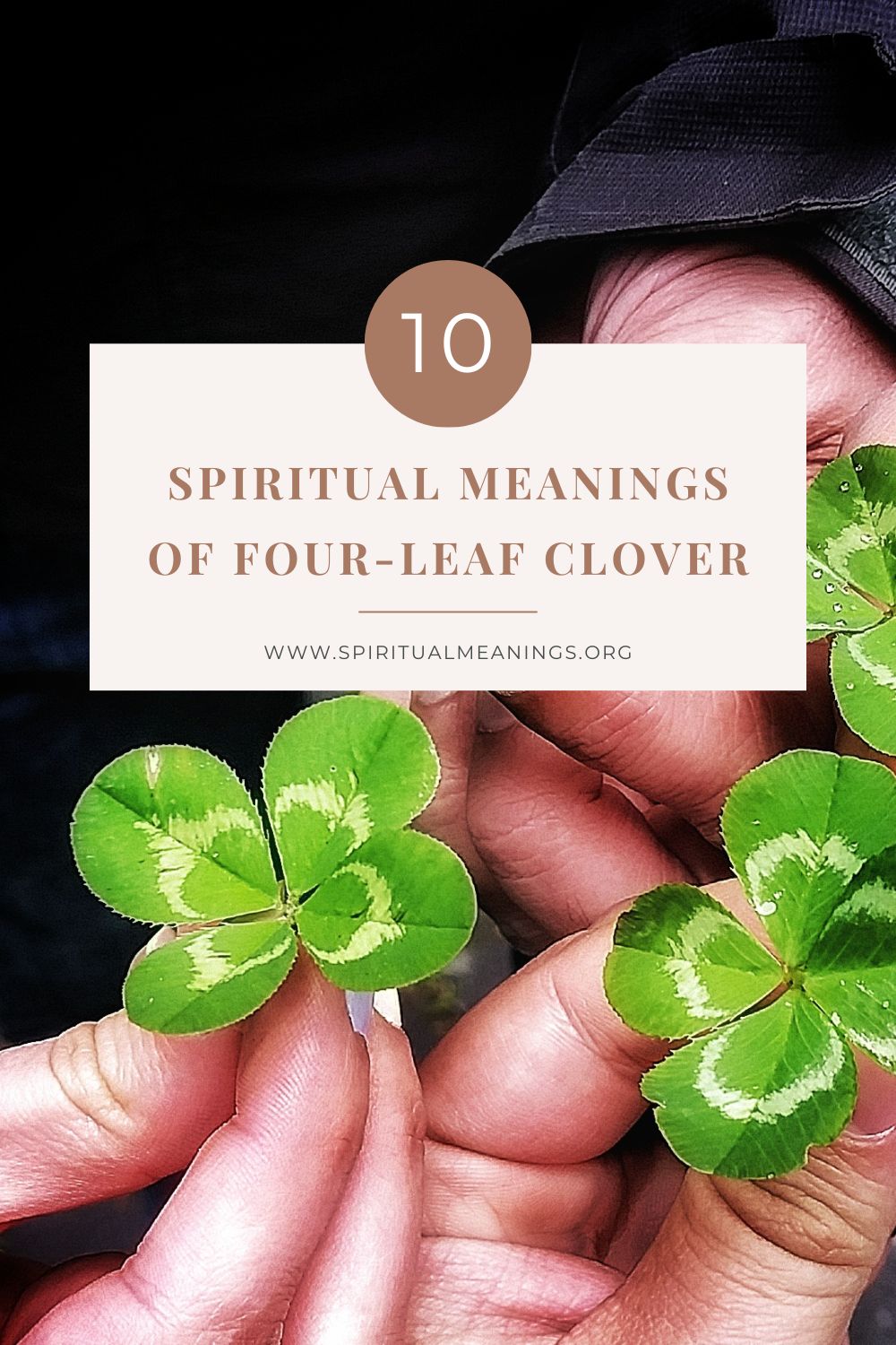 10 Spiritual Meanings of Four-leaf Clover pin