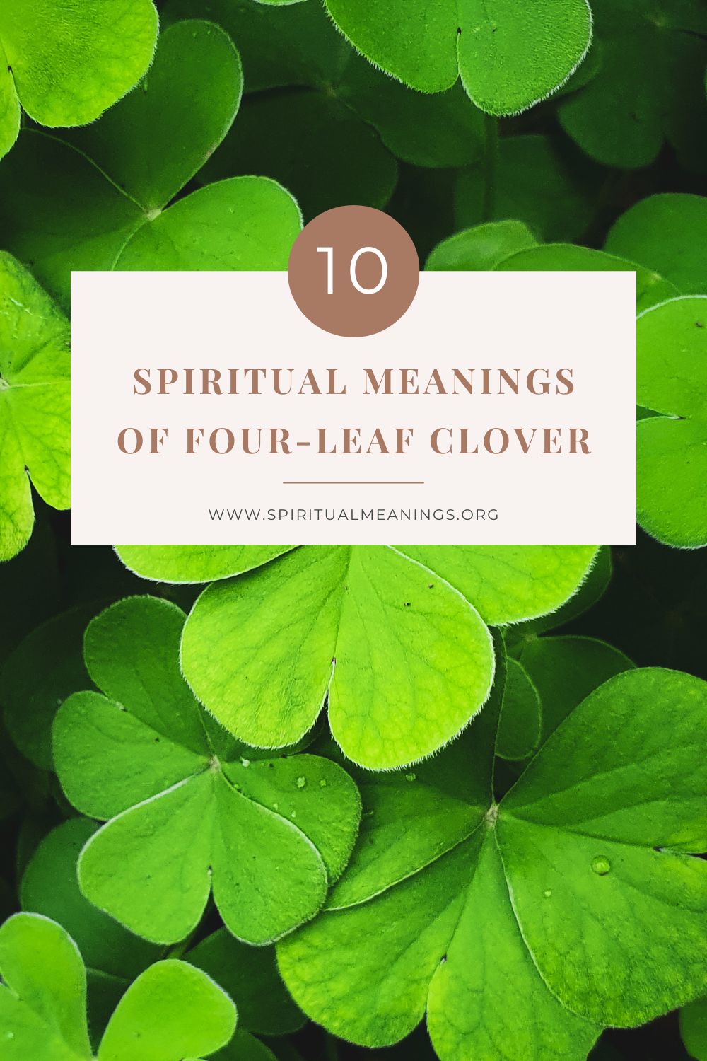 10 Spiritual Meanings of Four-leaf Clover pin
