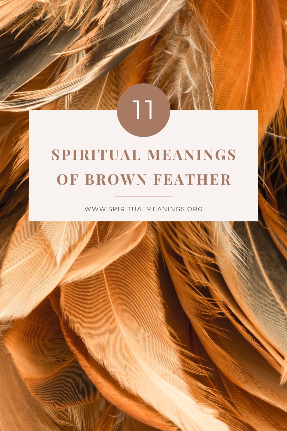 11 Spiritual Meanings of Brown Feather pin