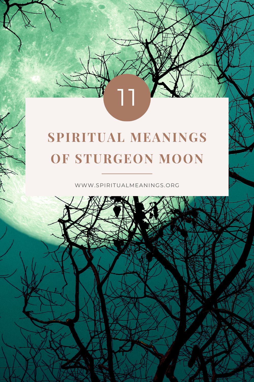 11 Spiritual Meanings of Sturgeon Moon pin