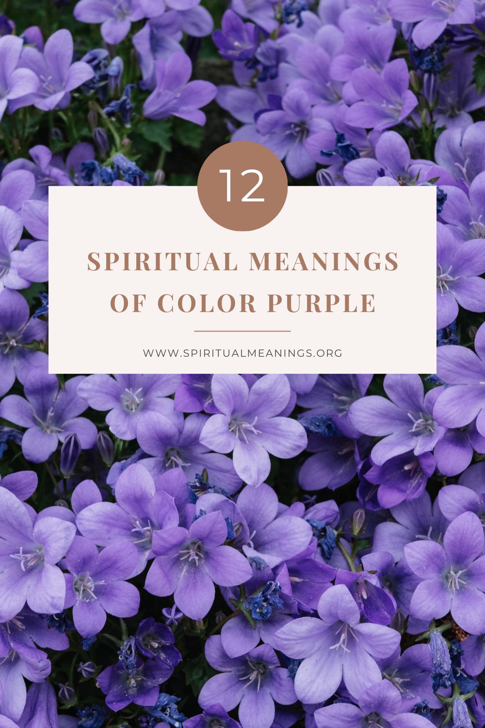 12 Spiritual Meanings of Color Purple pin
