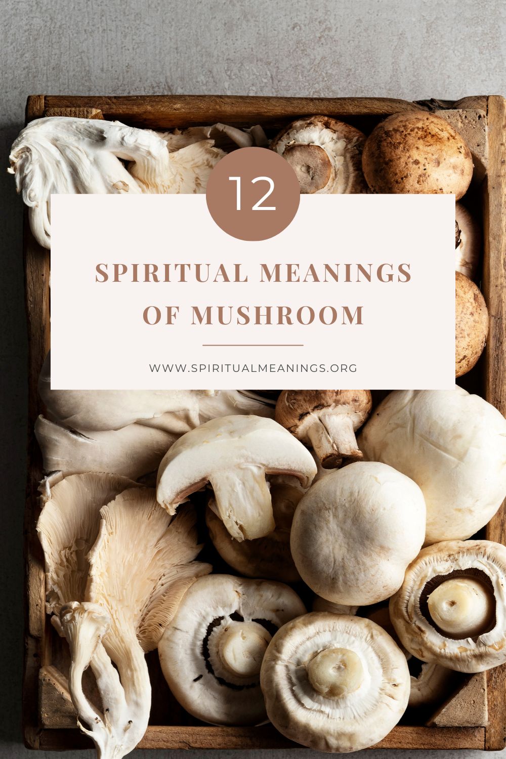 12 Spiritual Meanings of Mushroom pin