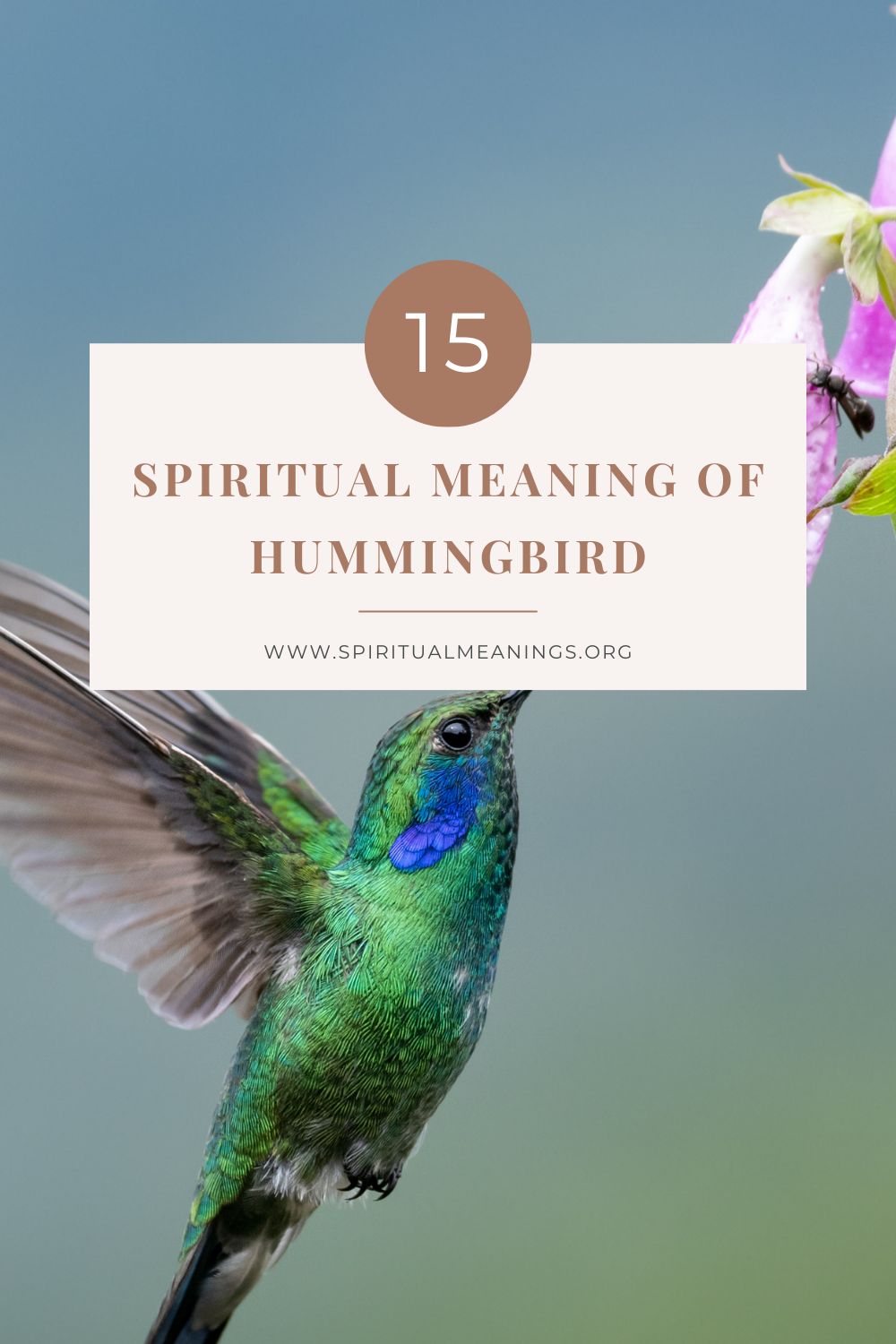 15 Spiritual Meaning of Hummingbird pin